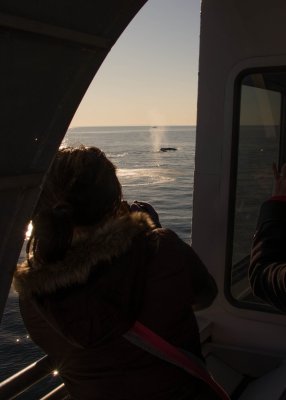 PAG-7580.jpg