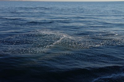 PAG-7542.jpg