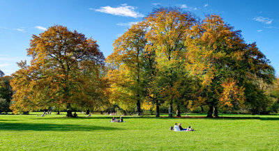 Englischer Garten