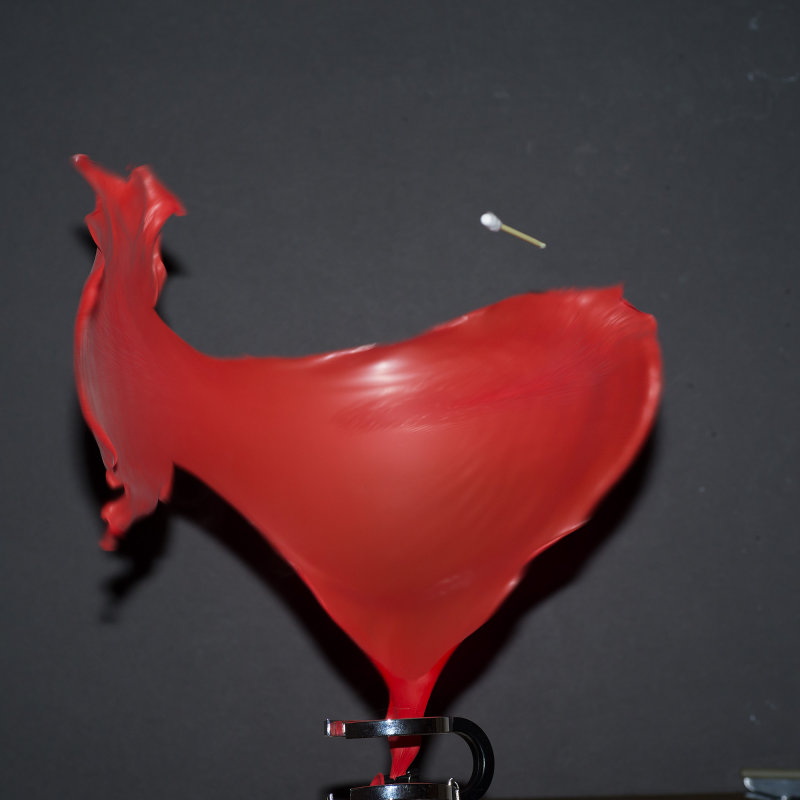 Baloon 4206.jpg