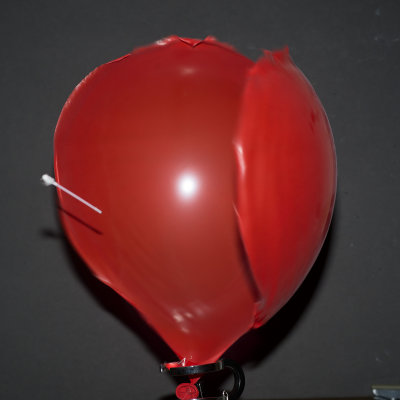 Baloon 4214.jpg