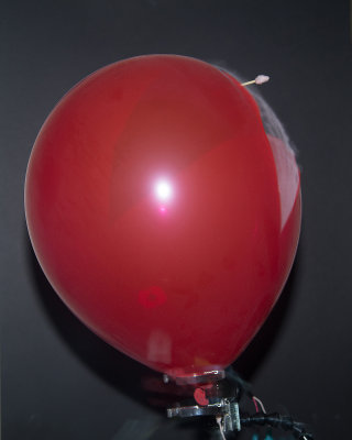 Balloon 4355.jpg