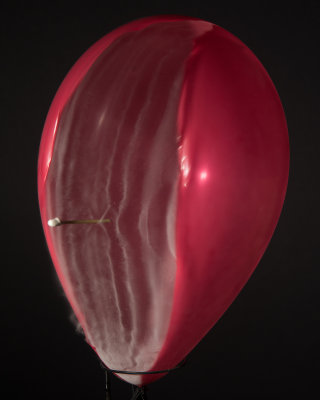 Balloon HS 0007.jpg