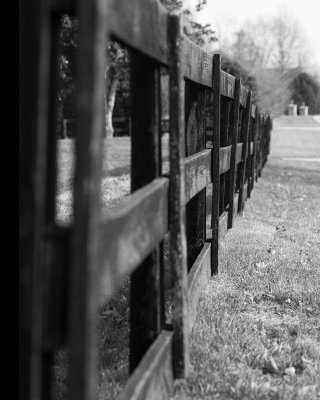 Fence 4777.jpg