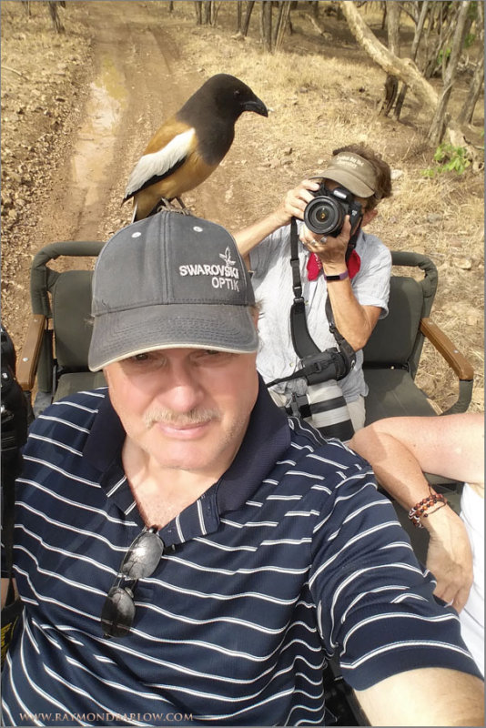 Rufous treepie and raymond with Peggy the Photographer 600 x 900 1200 web  .jpg