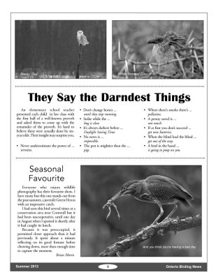 Ontario Birding Magazine - Fall 2013 - page 9