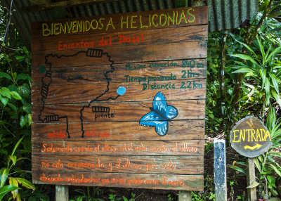 Costa Rica 2013 - Rain Forest Hicking