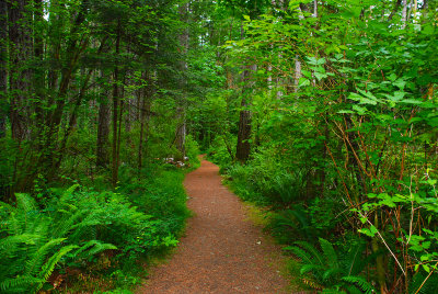 Vacation June 2007 - British Colombia