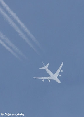 Boeing 747-8Z5(BBJ) UAE Presidential Flight A6-PFA
