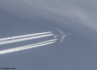 Boeing 747-412 Transaero EI-XLM