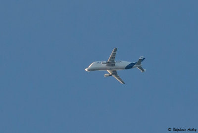 Airbus A300-608ST Beluga (Dolphin 2)