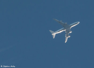 Boeing 747-830 Lufthansa D-ABYO