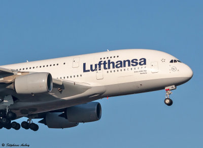 D-AIML Airbus A380-841 Lufthansa