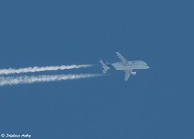 Airbus A300-608ST Beluga (Dolphin 5)