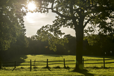 herstmonceux