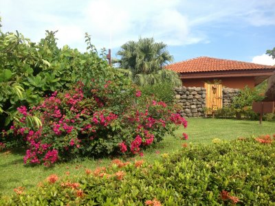 6-IMG_2391.JPG
