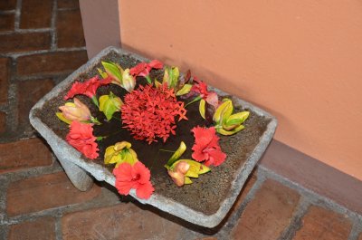 DSC_2399.JPG