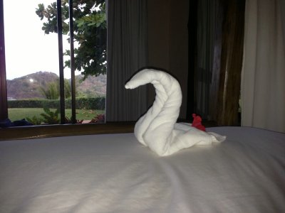 IMG_0861.JPG