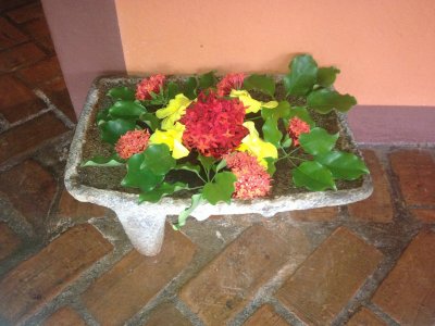 IMG_2540.JPG