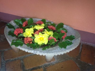 IMG_2541.JPG
