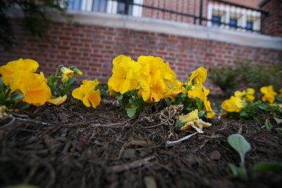 140326_DeathHappens_rsSet_019.JPG