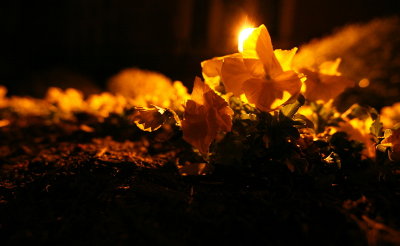 140326_DeathHappens_rsSet_109.JPG