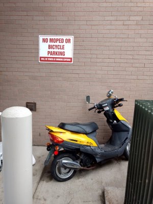 No Moped Parking