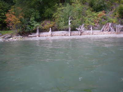 IMGP2549.JPG