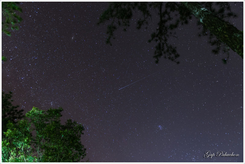 DSC_7709_web.jpg