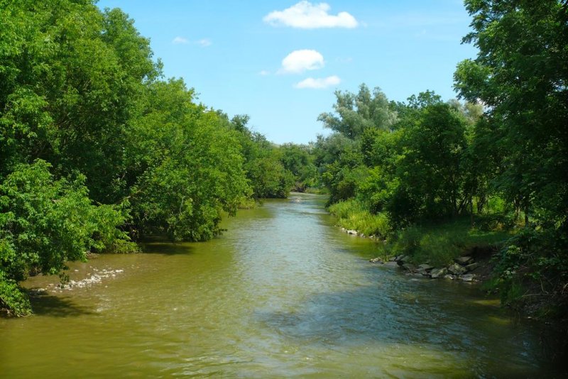 Summer, Humber River, Rowntree Mills Park, Toronto, Ontario