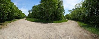 On The Road near Vin Villa Ruins, Pelee Island