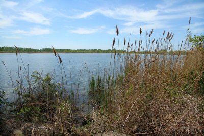 Lake Henry 1972, Pelee Island