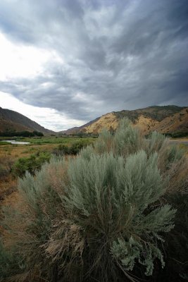 Roadside Scene Utah, north of Marysvale in Piute County, UT