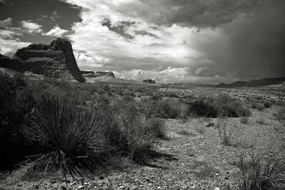 Road Scene, Arizona