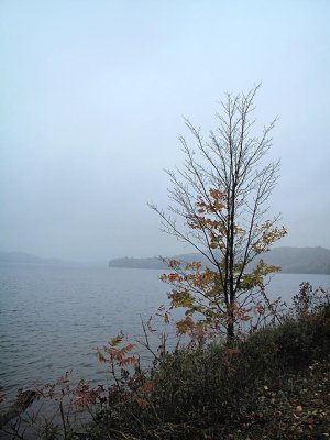 Dwight Bay, Lake of Bays, Dwight, Ontario