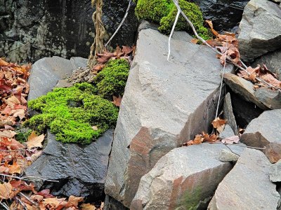 Algonquin Park, Ontario