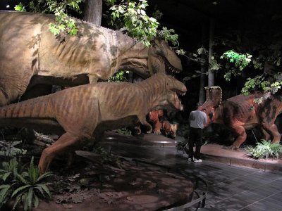 Lunch time for the exhibits, Canadian Museum of Nature, Ottawa, Ontario