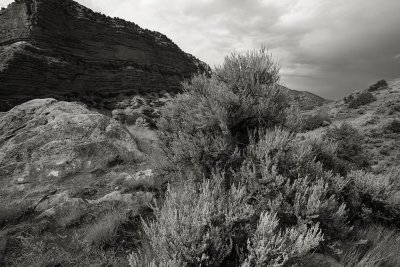 At Reststop near Echo UT