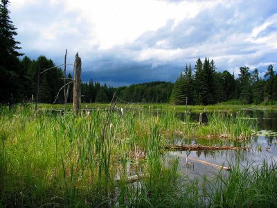 Pond, Apsley, Ontario