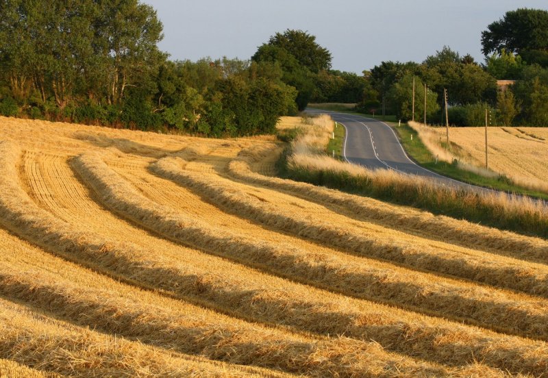 Drying straw