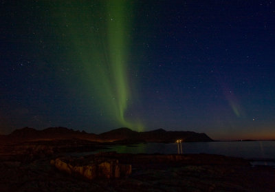 Lofoten coast