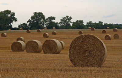 21 century haystacks
