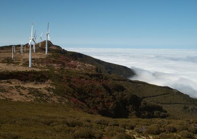 windmills.jpg