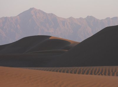 Dusk in the desert