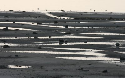 At low tide