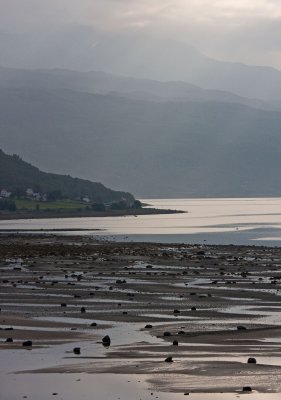 Low tide in the fjordland