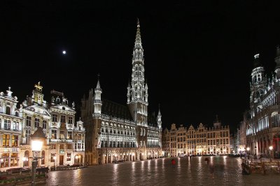 Brussels by moonlight