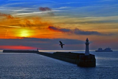 Dover