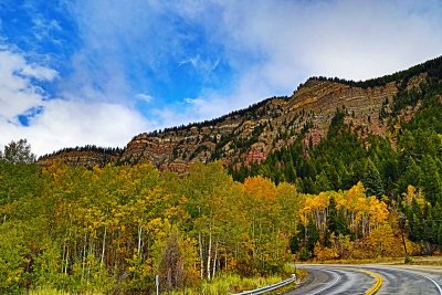 Colorado Foliage 2014