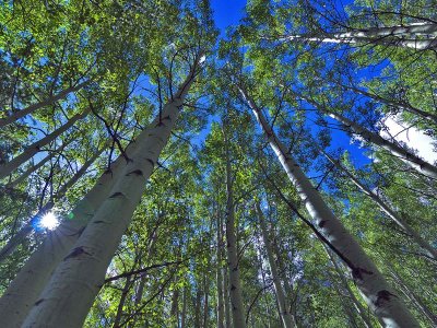 Maroon Bells
